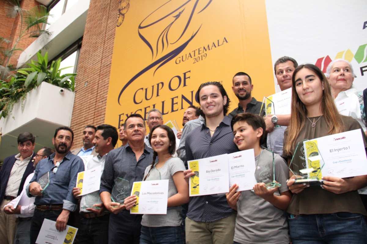 Estos son los 20 cafés mejor calificados para la subasta por internet Cup of Excellence