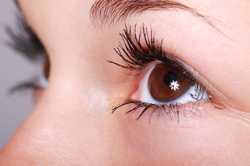 La evaluación de la presión del ojo es indispensable para asegurar la salud visual. (Foto Prensa Libre: Pixabay)