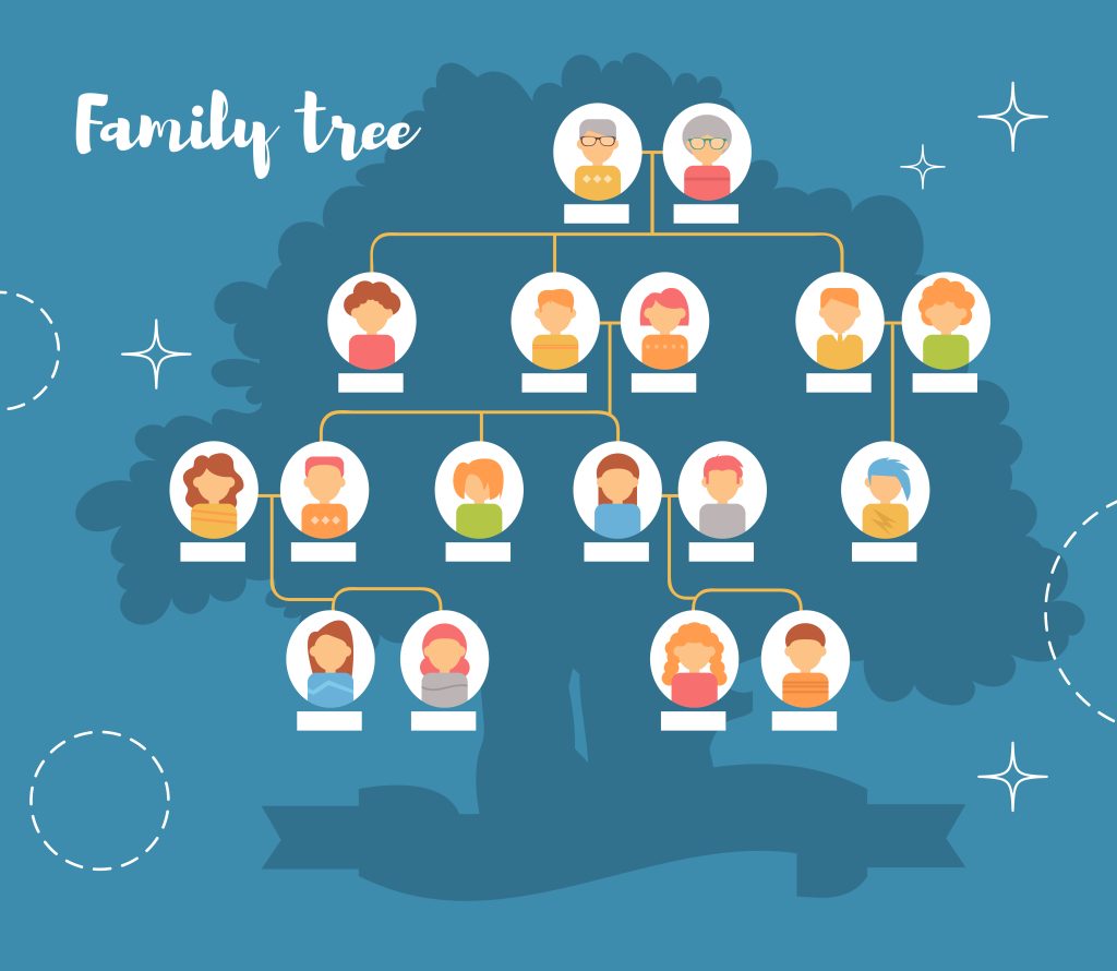 Especialidad Parque jurásico Mimar Cómo hacer su árbol genealógico y cómo ayuda a mejorar su salud física y  emocional
