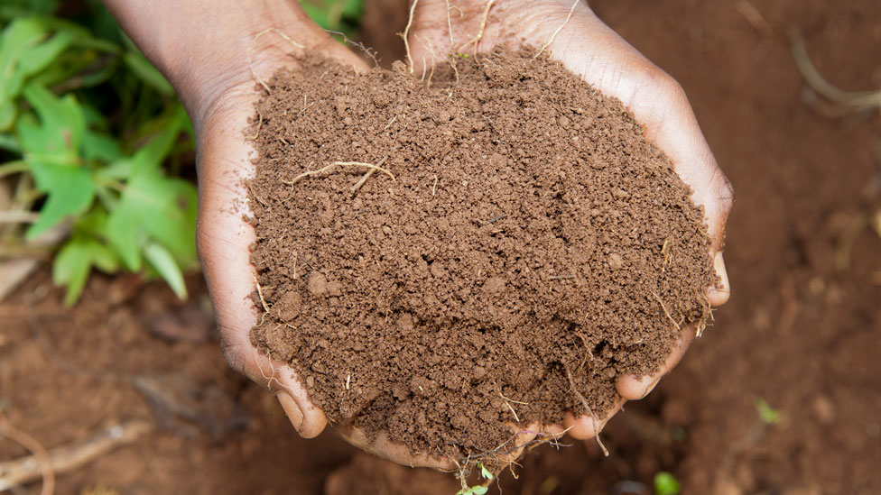 Personas en todo el mundo comen tierra, una práctica que es milenaria. Pero ¿por qué lo hacen? (Foto Prensa Libre: Getty Images)