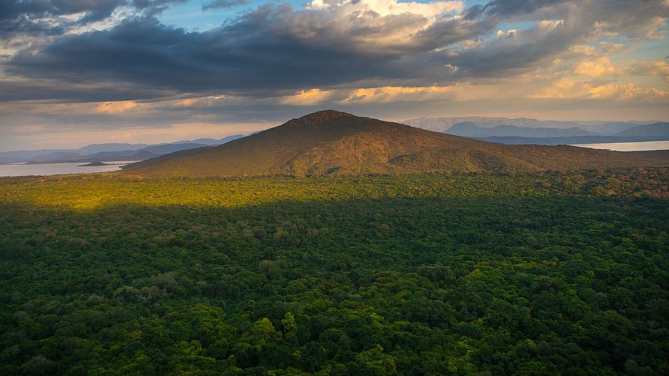 Etiopía ha perdido parte de sus bosques durante los últimos años. GETTY