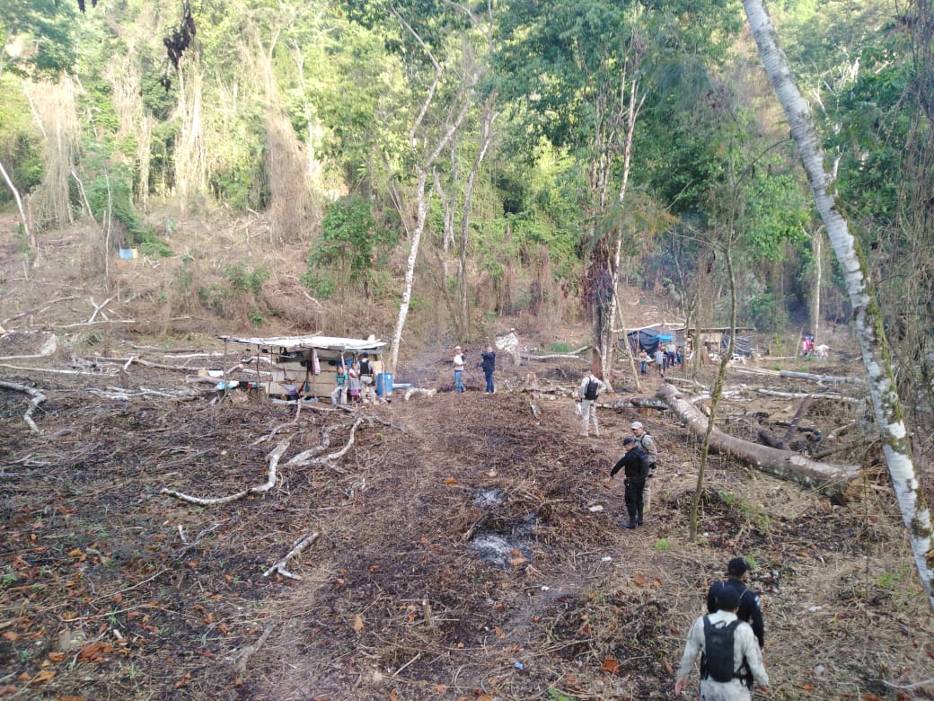Una de las áreas que ha sido devastada por usurpadores en el Parque Nacional Laguna Lachuá. (Foto Prensa Libre: Conap). 