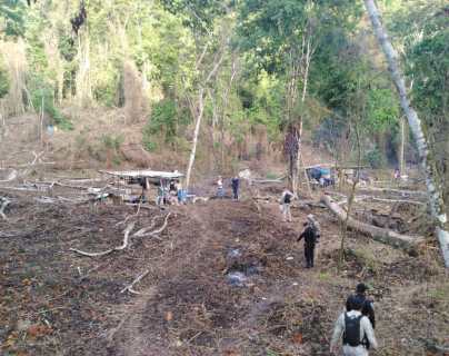 Persiste destrucción y caza de jaguares en el Parque Nacional Laguna Lachuá
