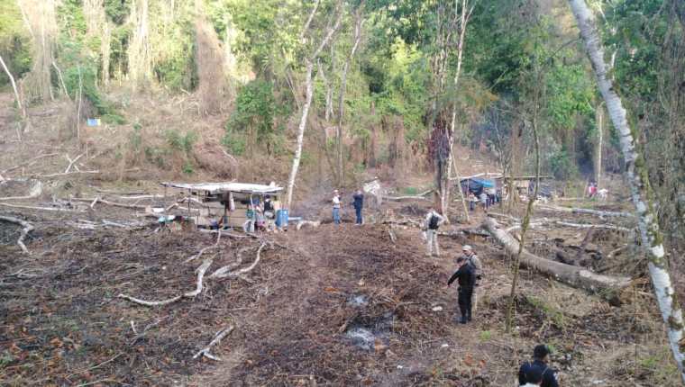 Una de las áreas que ha sido devastada por usurpadores en el Parque Nacional Laguna Lachuá. (Foto Prensa Libre: Conap). 