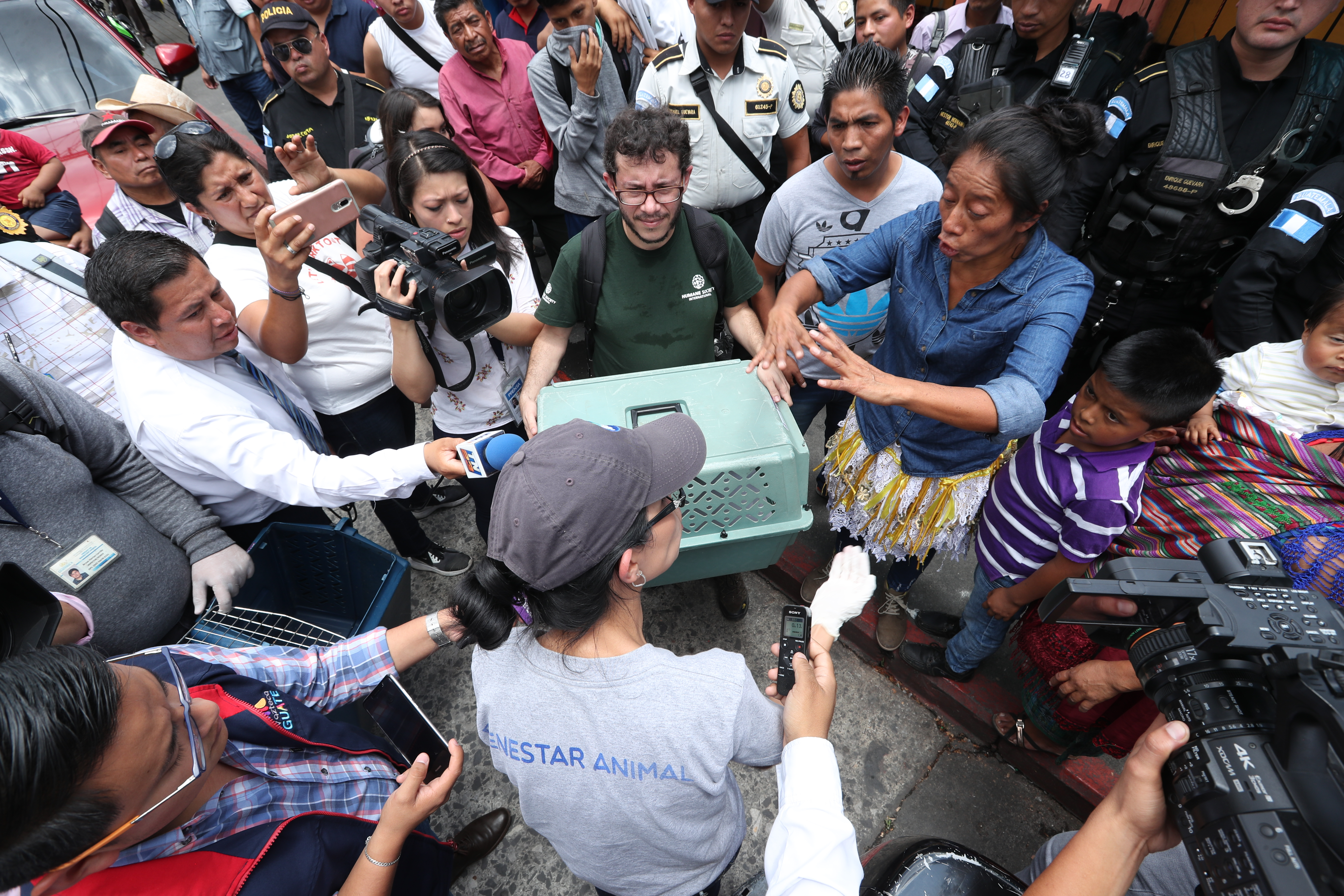 Durante el decomiso las autoridades localizaron aves, roedores, conejos y peces. (Foto Prensa Libre: Esbin García)