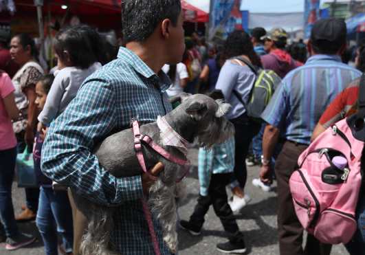 Familias llevaron su mascota y recorrieron los locales donde se ofrecen varias degustaciones. (Foto Prensa Libre: Esbin García)