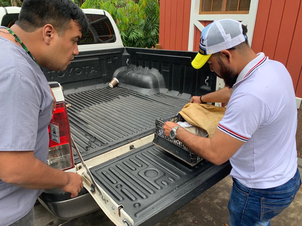 Pobladores de San Alfonso, San Martín Zapotitlán, Retalhuleu, golpearon y quemaron una nutria hasta causarle la muerte. (Foto Prensa Libre: Rolando Miranda)