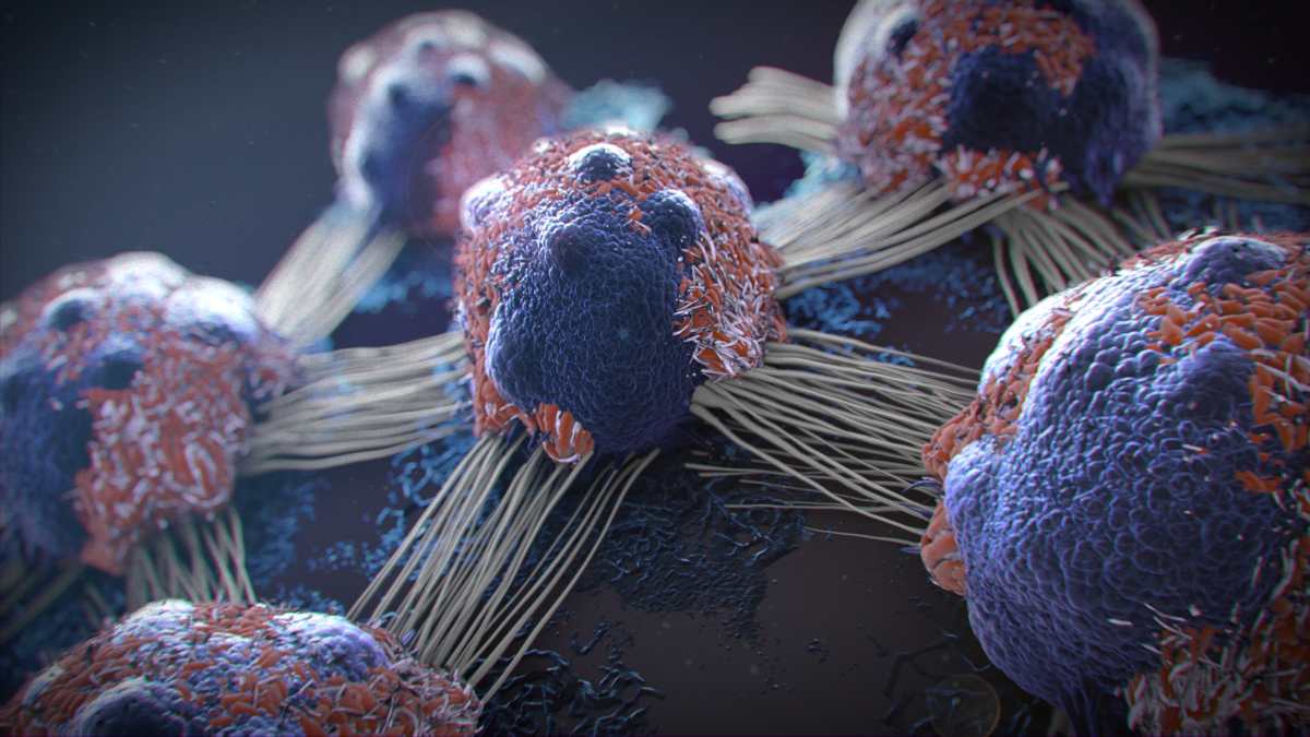 ¿Qué es el Virus de Papiloma Humano y por qué 8 de cada 10 mujeres lo tendrán en algún momento de su vida?