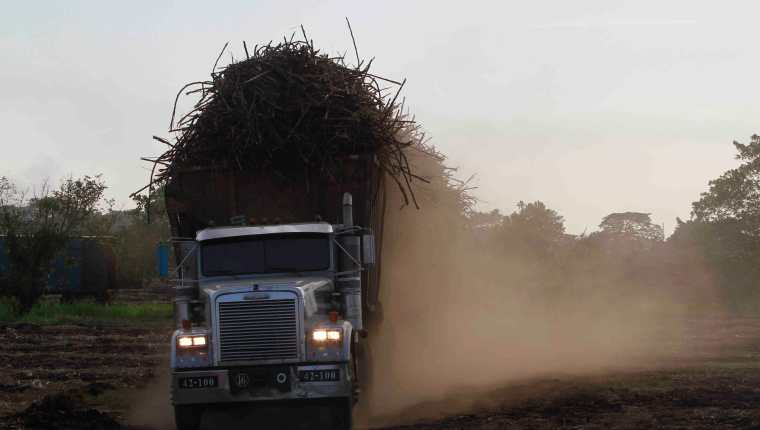La producción de azúcar creció 7.7 durante la zafra 2018/19, según las cifras de Asazgua. (Foto Prensa Libre: Hemeroteca)