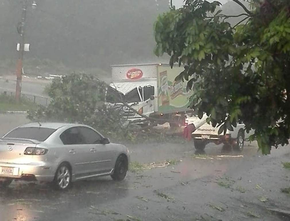 Un árbol cayó sobre un vehículo en el kilómetro 152, Mazatenango. (Foto divulgada por Conred)