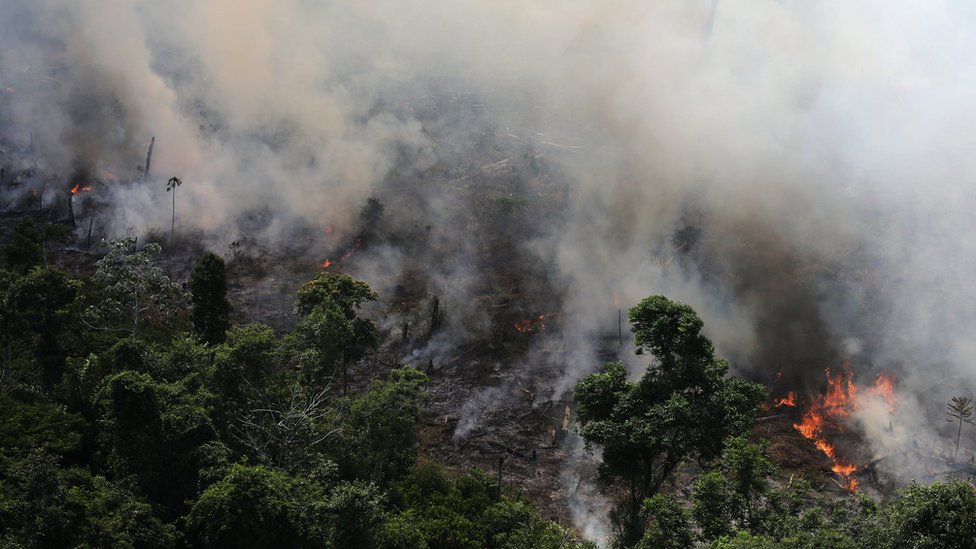 El Inpe dice que ha detectado más de 72.000 incendios en lo que va de 2019. Foto:Reuters