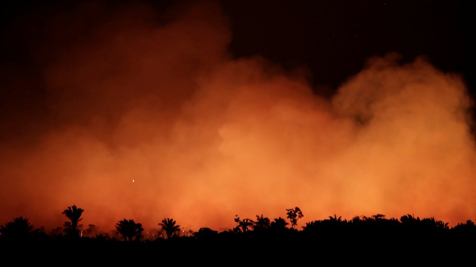 La selva amazónica se ha vuelto cada vez más susceptible a sufrir incendios. REUTERS