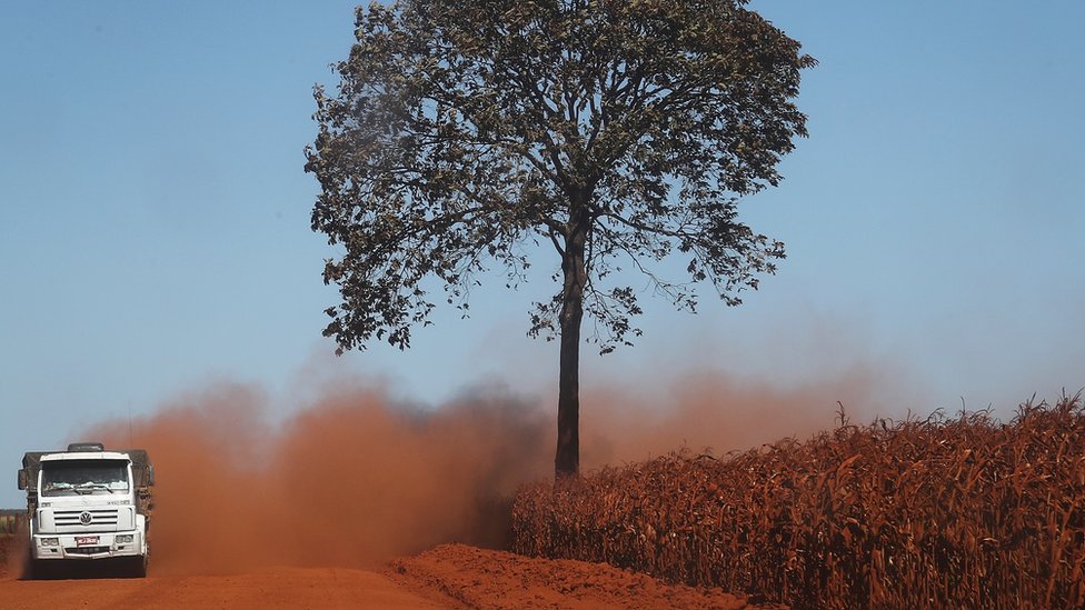 "La vegetación de sabana ya no logrará generar una parte de la lluvia que generaba el bosque tropical". GETTY IMAGES