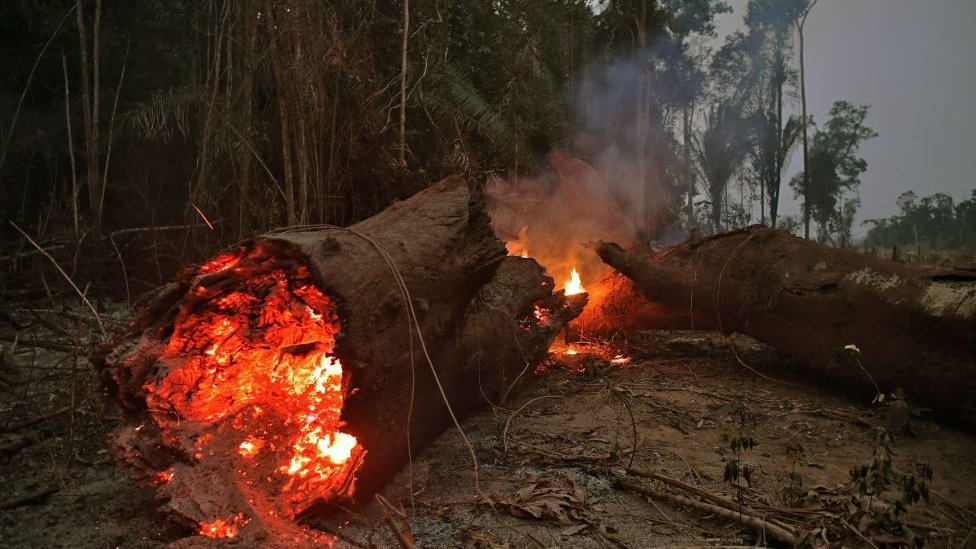 Incendios en el Amazonas: el G7 aprueba un fondo de US$22 millones para ayudar a combatir el fuego