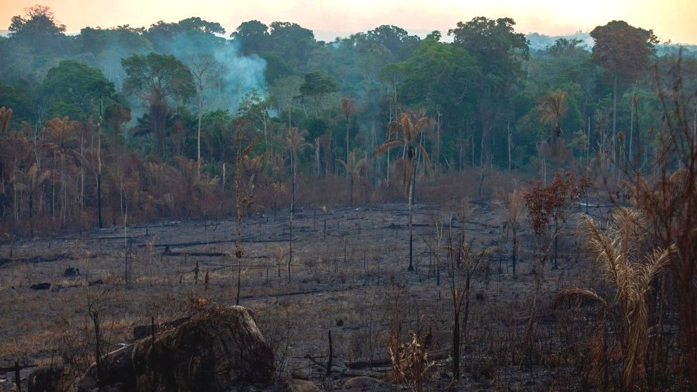 Los líderes del G7 acordaron el lunes entregar apoyo económico y logístico a los países afectados que están luchando apagar los incendios en la Amazonía. (Foto Prensa Libre: Getty Images)