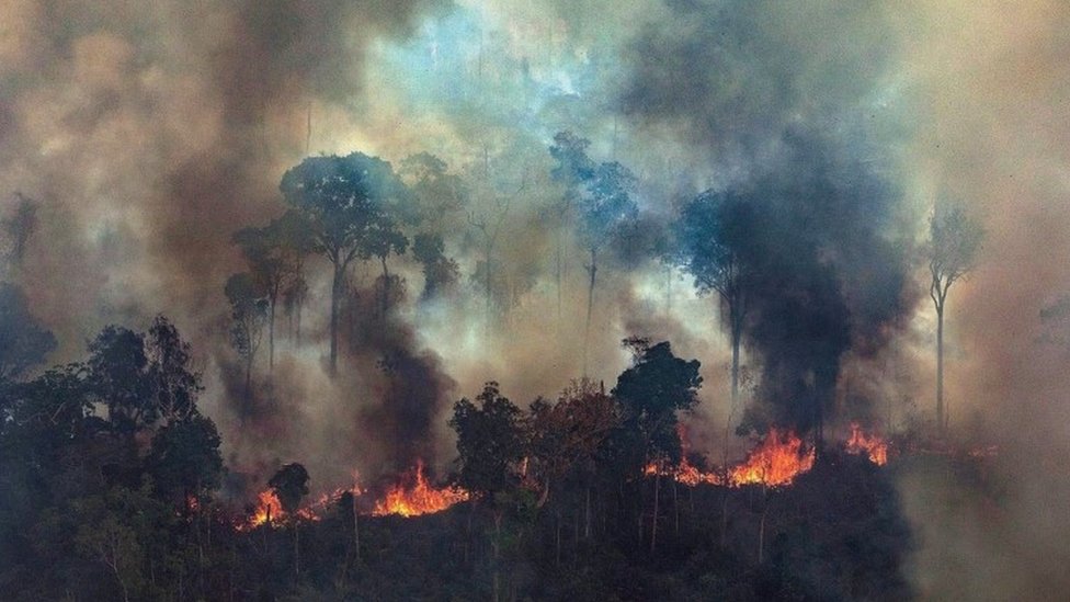Críticos han señalado que la retórica antiecológica de Jair Bolsonaro ha empeorado la situación de la Amazonia.