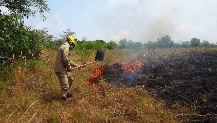 Bomberos del Estado de Acre trabajando en la extinción del incendio en la selva amazónica en la región de Cruzeiro do Sul. (Foto Prensa Libre: EFE)
