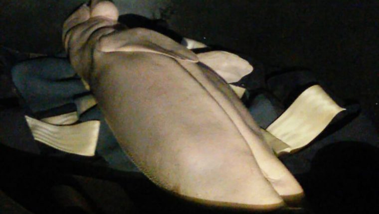 This handout from the Department of National Parks, Wildlife and Plant Conservation (DNP) taken and released on August 17, 2019 shows Mariam the dugong lying in a container after she died at the Trang province marine park. - Mariam, the sick baby dugong whose fight for recovery won hearts in Thailand and cast a spotlight on ocean conservation, has died from an infection exacerbated by bits of plastic lining her stomach, officials said on August 17. (Photo by Handout / Department of National Parks, Wildlife and Plant Conservation (DNP) / AFP) / -----EDITORS NOTE --- RESTRICTED TO EDITORIAL USE - MANDATORY CREDIT "AFP PHOTO / DEPARTMENT OF NATIONAL PARKS, WILDLIFE AND PLANT CONSERVATION (DNP)" - NO MARKETING - NO ADVERTISING CAMPAIGNS - DISTRIBUTED AS A SERVICE TO CLIENTS