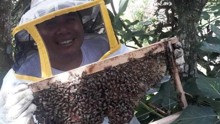 
El rescate de abejas es fundamental para la naturaleza, aseguran expertos. (Foto Prensa Libre: Cortesía Bee Hub Guate)
