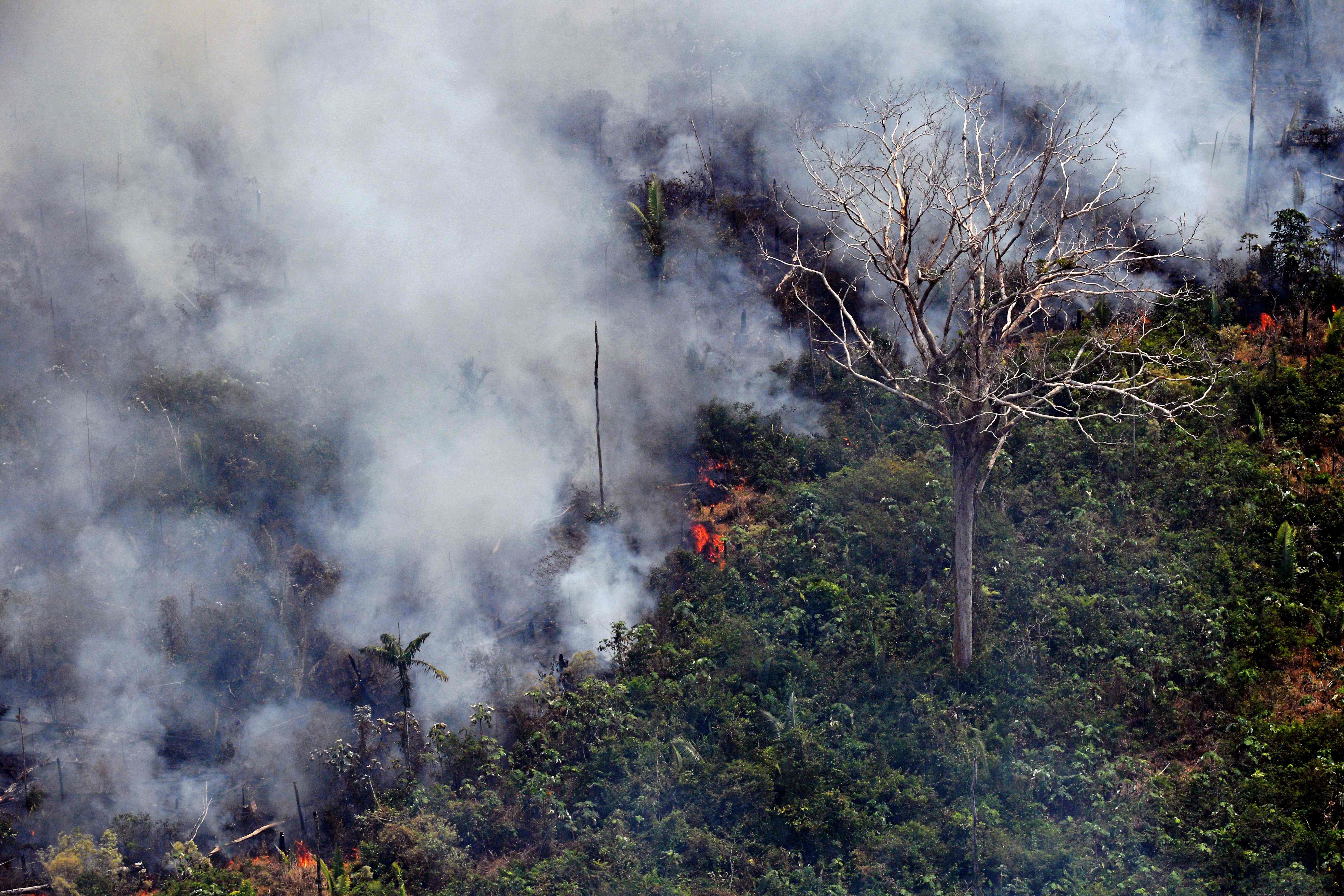 Vista del incendio en el Amazonas, en Porto Velho, estado de Rondonia, Brasil. (Foto Prensa Libre: AFP).