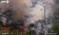 Vista del incendio en el Amazonas, en Porto Velho, estado de Rondonia, Brasil. (Foto Prensa Libre: AFP). 