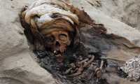 Uno de los 227 restos de niños dados en sacrificio por la cultura Chimu, Perú. (Foto Prensa Libre: AFP)