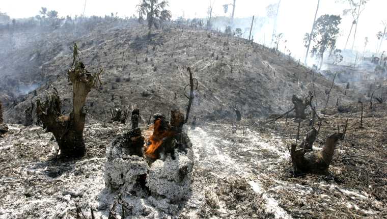El Parque Nacional Laguna del Tigre, en Petén, ha sido afectado por incendios forestales durante los últimos años. (Foto: Hemeroteca PL)