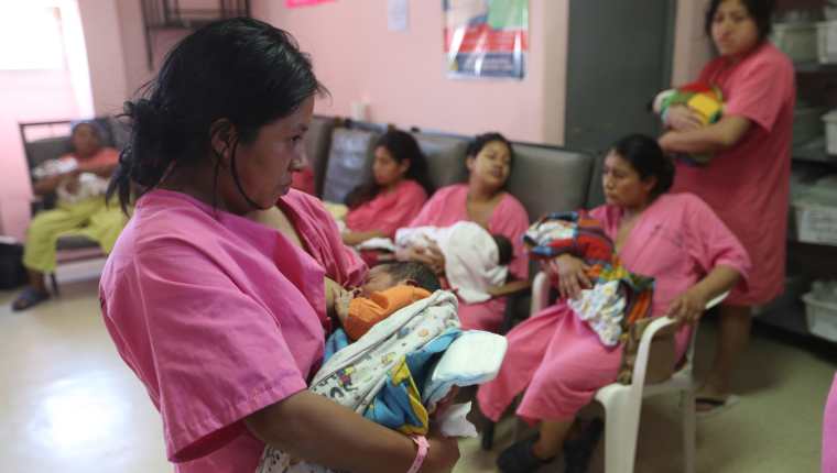 Treinta y dos madres participaron en la Mamaton que se llevó a cabo en el Hospital San Juan de Dios en el marco de la Semana Mundial de la Lactancia Materna. (Foto Prensa Libre. Óscar Rivas)