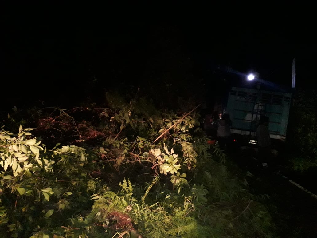 El derrumbe sobre ruta hacia San Martín Sacatepéquez, Quetzaltenango, afectó a transportistas. (Foto Prensa Libre: Conred)