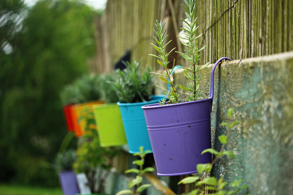 Las plantas tienen diversos beneficios para la salud. (Foto Prensa Libre: Pixabay)