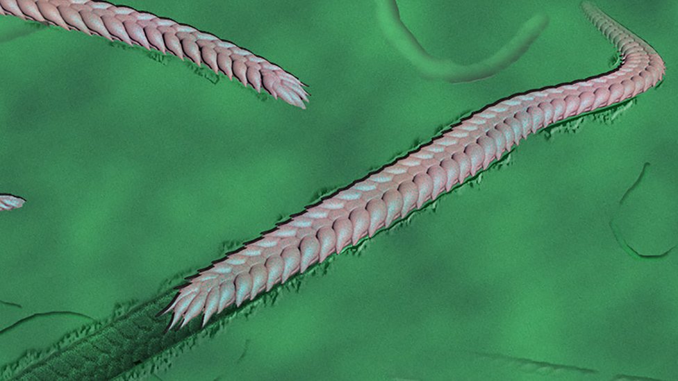 Esta ilustración recrea el aspecto que podría haber tenido el milpiés. Foto:SHUHAI XIAO