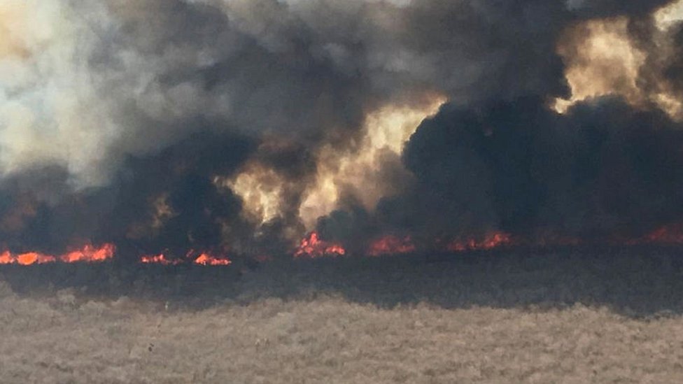 Las llamas en la selva no son muy altas, así que hay que combatirlas desde el suelo. Foto:Getty Images