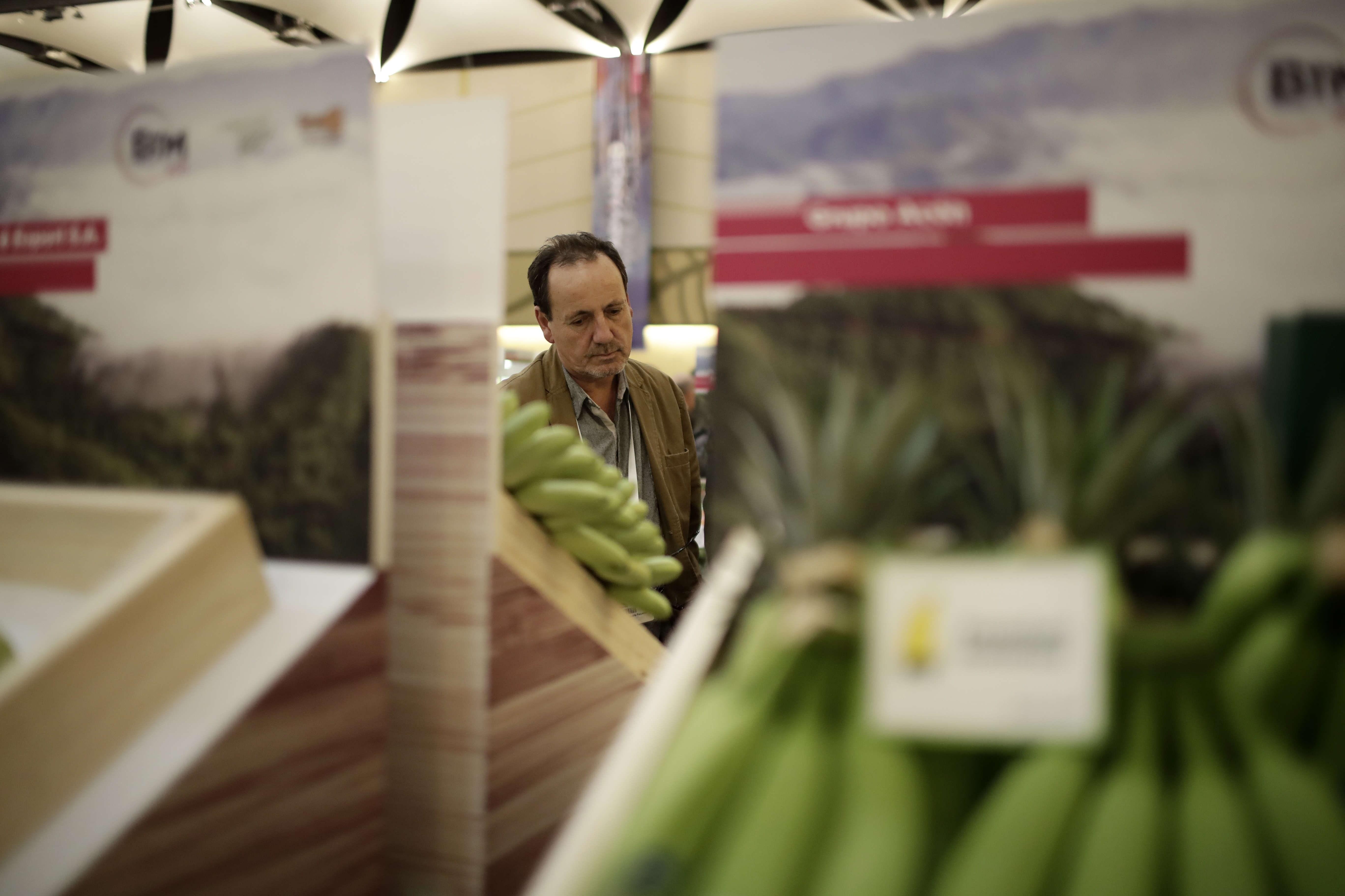 Un visitante observa este miércoles productos agrícolas costarricenses durante la feria comercial Buyers Trade Mission (BTM), en San José (Costa Rica) el 18 de septiembre de 2019. (Foto Prensa Libre: EFE)