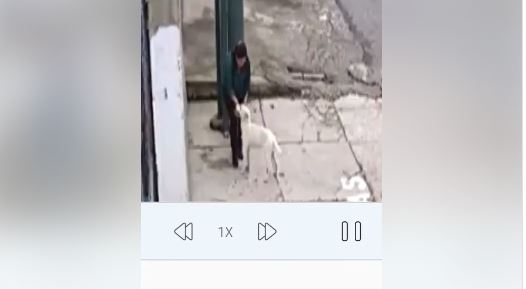Momento en que perro es abandonado frente a albergue para mascotas en Mixco. (Foto Prensa Libe: Imagen tomada de Facebook). 