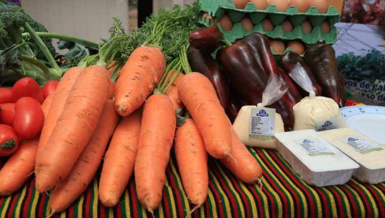 Producción diversa, según el clima y propiedades de la tierra del área donde se instale el proyecto, se propondría para instalar en Guatemala. (Foto Prensa Libre: Juan Diego González)