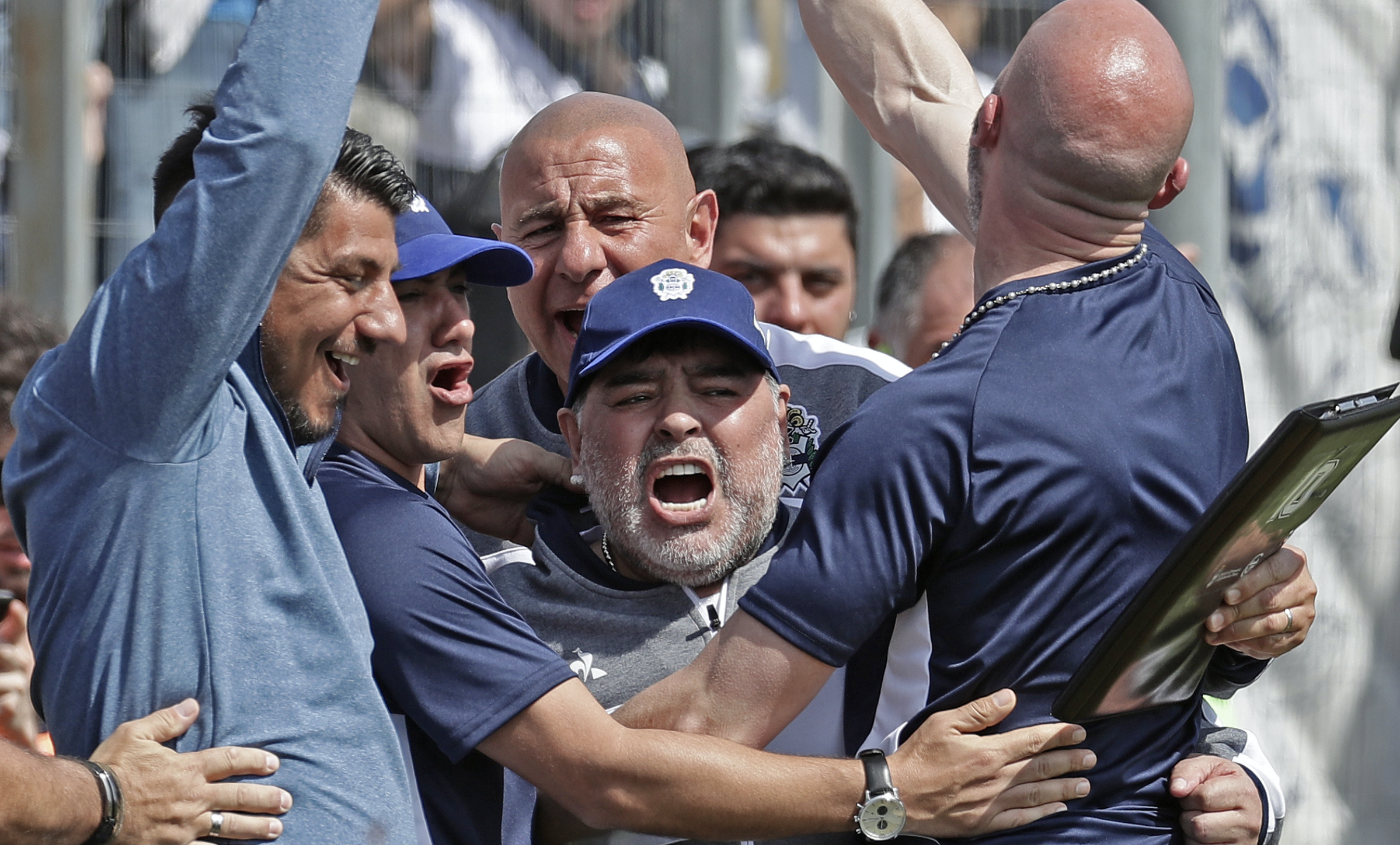 Maradona celebra con sus asistentes después del empate parcial de Gimnasia. (Foto Prensa Libre: AFP) 