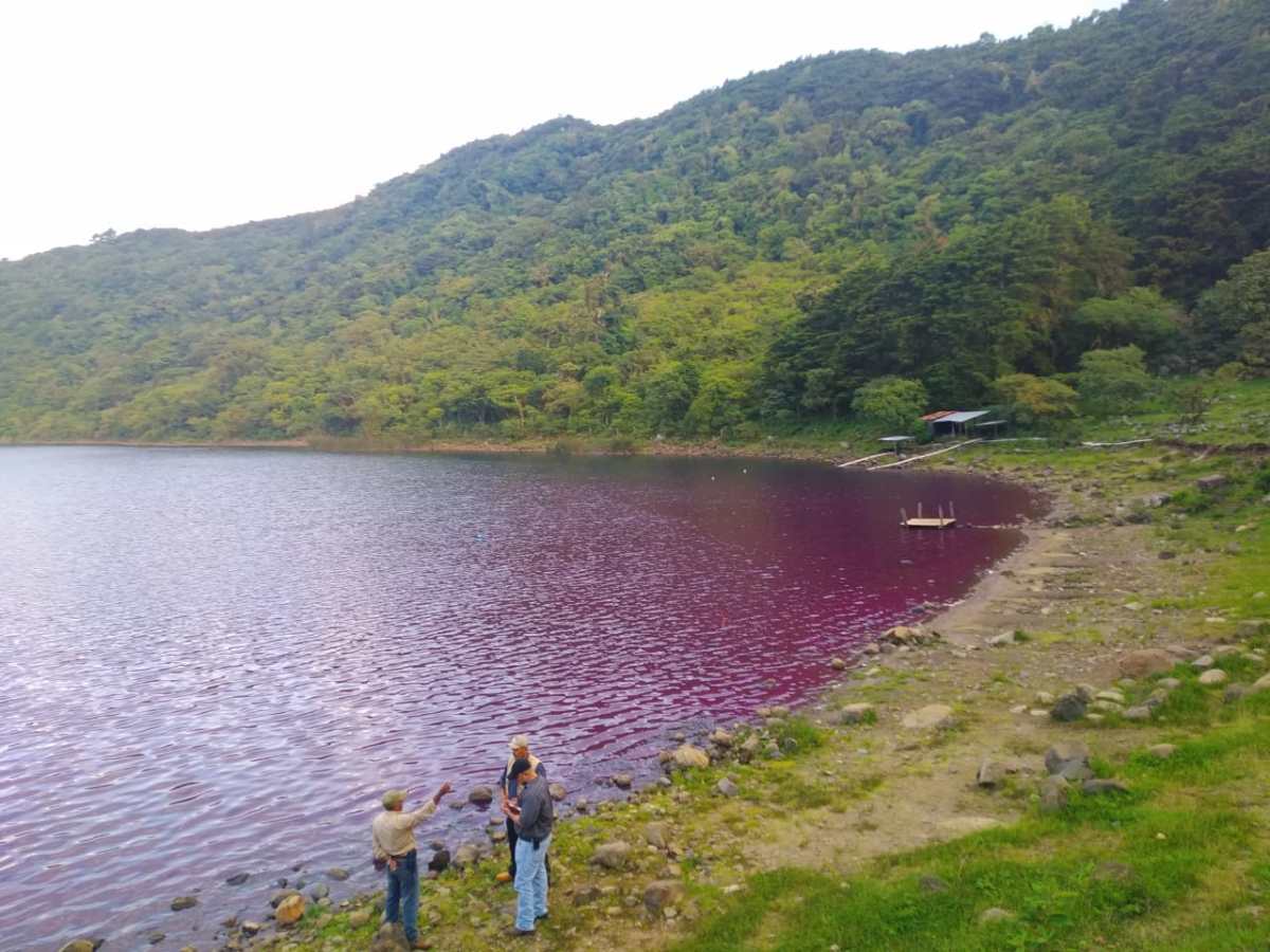 El agua de la laguna de Ipala cambió de coloración por causa que se están estudiando. (Foto Prensa Libre: Conap)