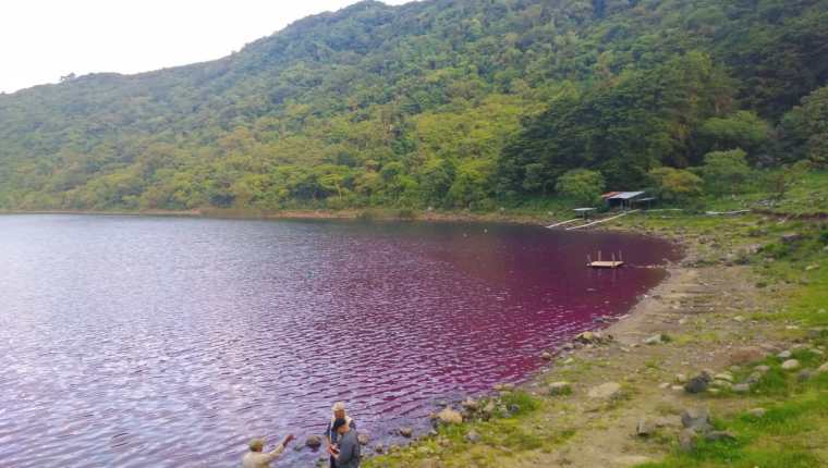 El agua de la laguna de Ipala cambió de coloración por causa que se están estudiando. (Foto Prensa Libre: Conap)