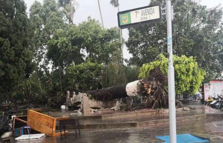 Un árbol cayó debido al fuerte viento que se registró en una tormenta en la cabecera departamental de Jalapa. (Foto Prensa Libre: Conred)