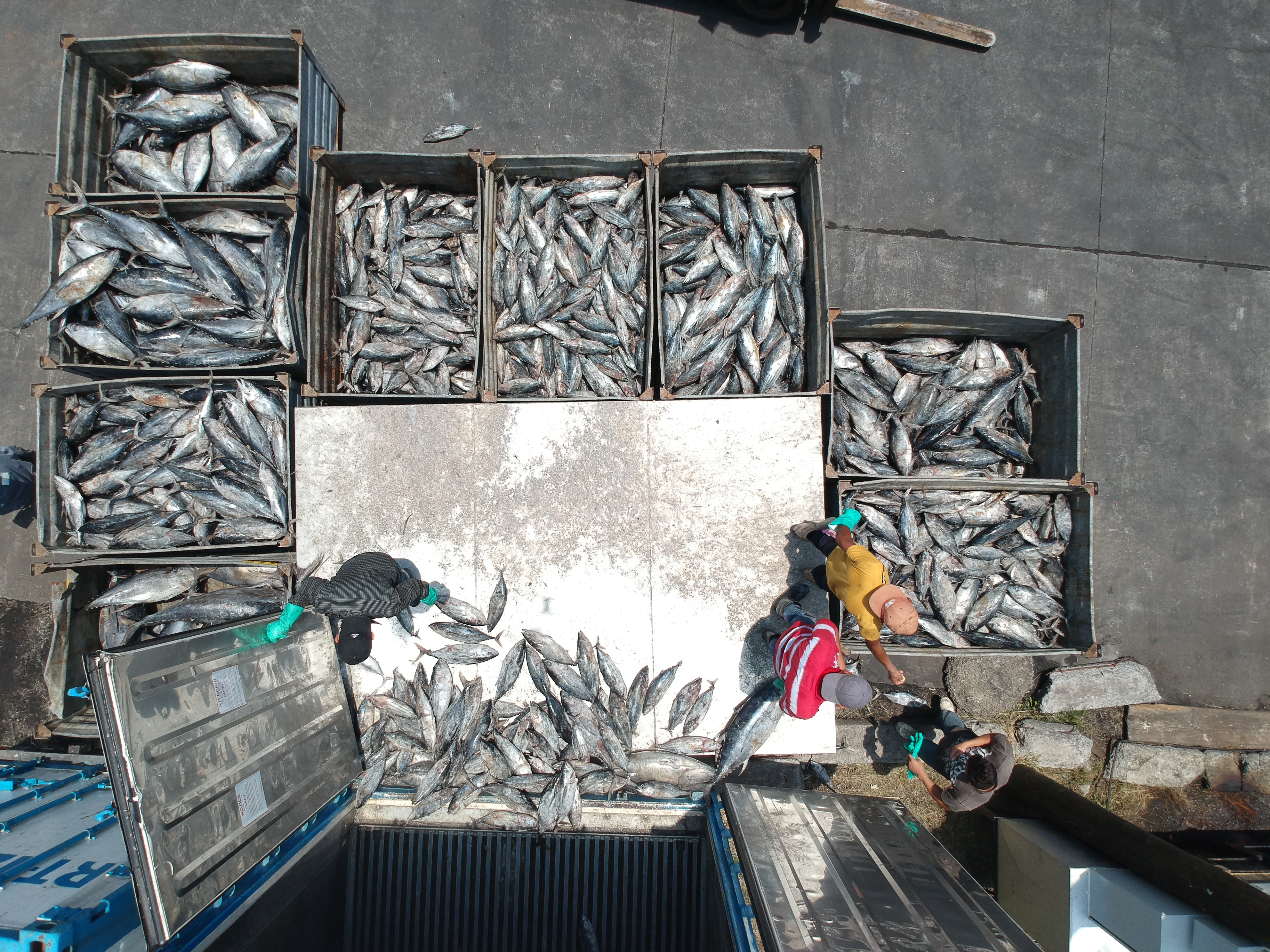 La filial de la española Rianxeira en Guatemala invirtió Q23 millones en una nave industrial que utilizará los subproductos del atún y de los pescadores artesanales. (Foto Prensa Libre: Carlos Hernández Ovalle)
