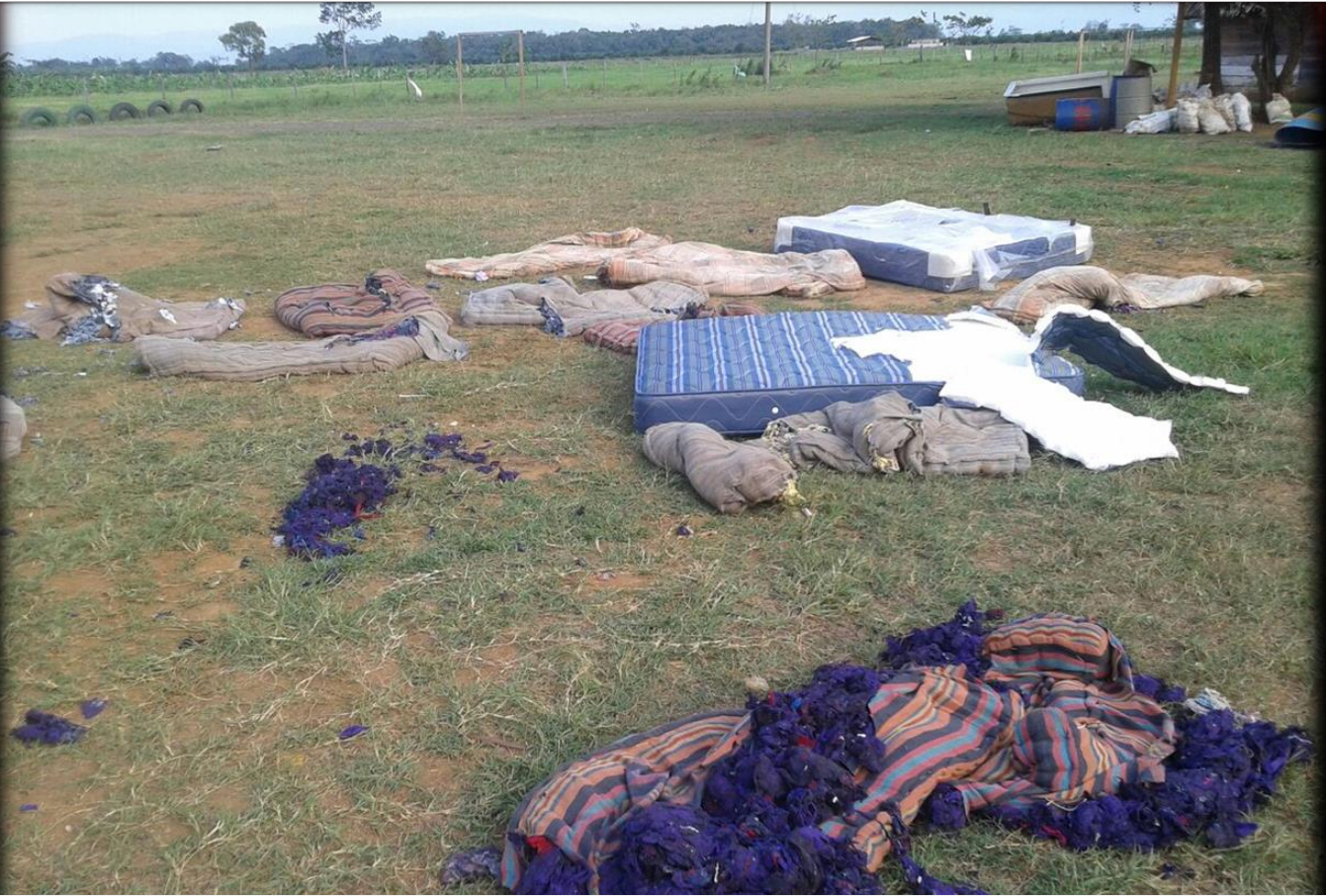 En 2018 hubo 242 fincas invadidas según la Secretaria de Asuntos Agrarios (SAA), que representó aproximadamente 164 mil hectáreas de territorio usurpado, según la Camagro. (Foto Prensa Libre: Camagro)