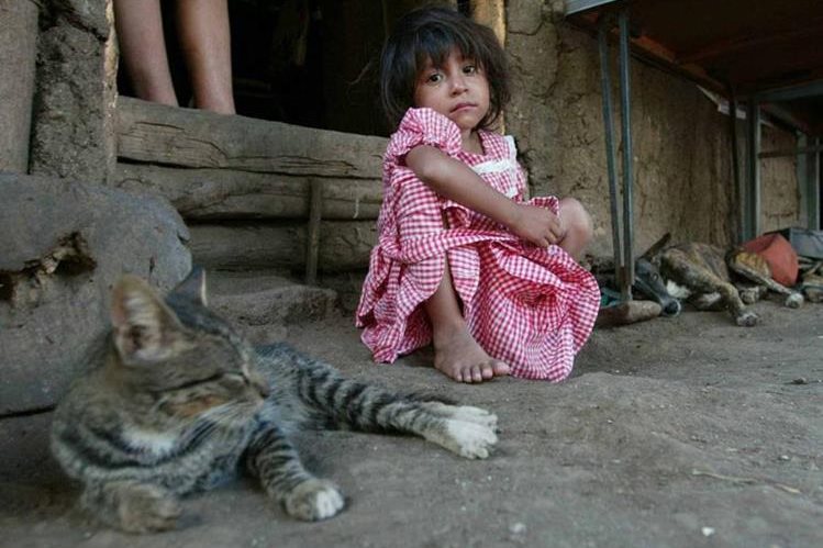 Uno de cada dos niños guatemaltecos sufre desnutrición crónica. (Foto Prensa Libre: Hemeroteca PL)