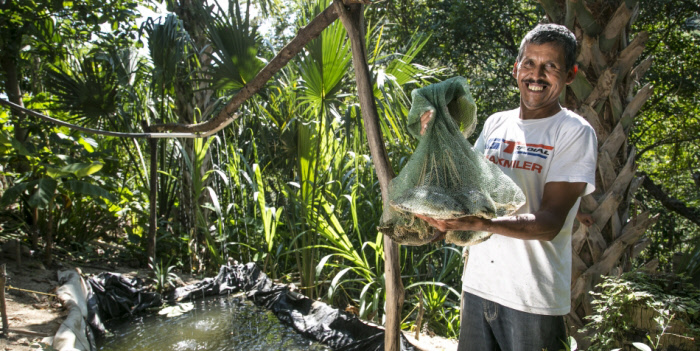 Suecia ha apoyado programas para el cultivo de peces en Chiquimula. (Foto: FAO/Programa de cooperación Sueca)