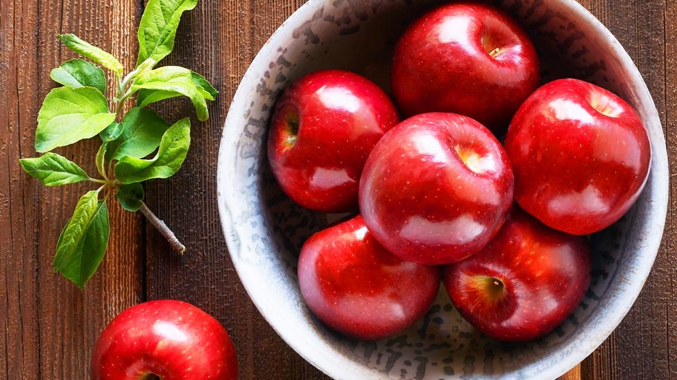 El programa de producción de las manzanas Cosmic Crisp comenzó en 1997. (Foto Prensa Libre: PVM)