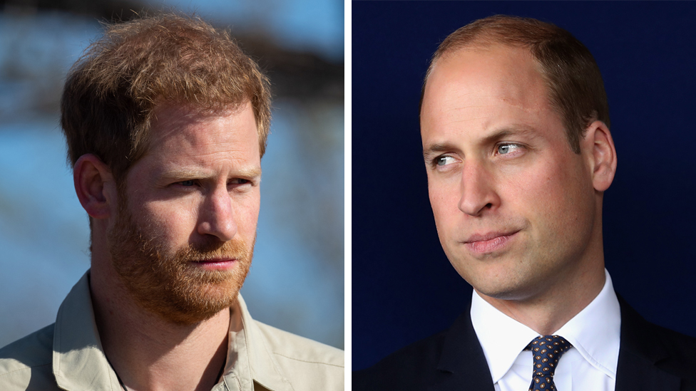 Por qué la relación entre los príncipes William y Harry “ha cambiado de forma irreparable”