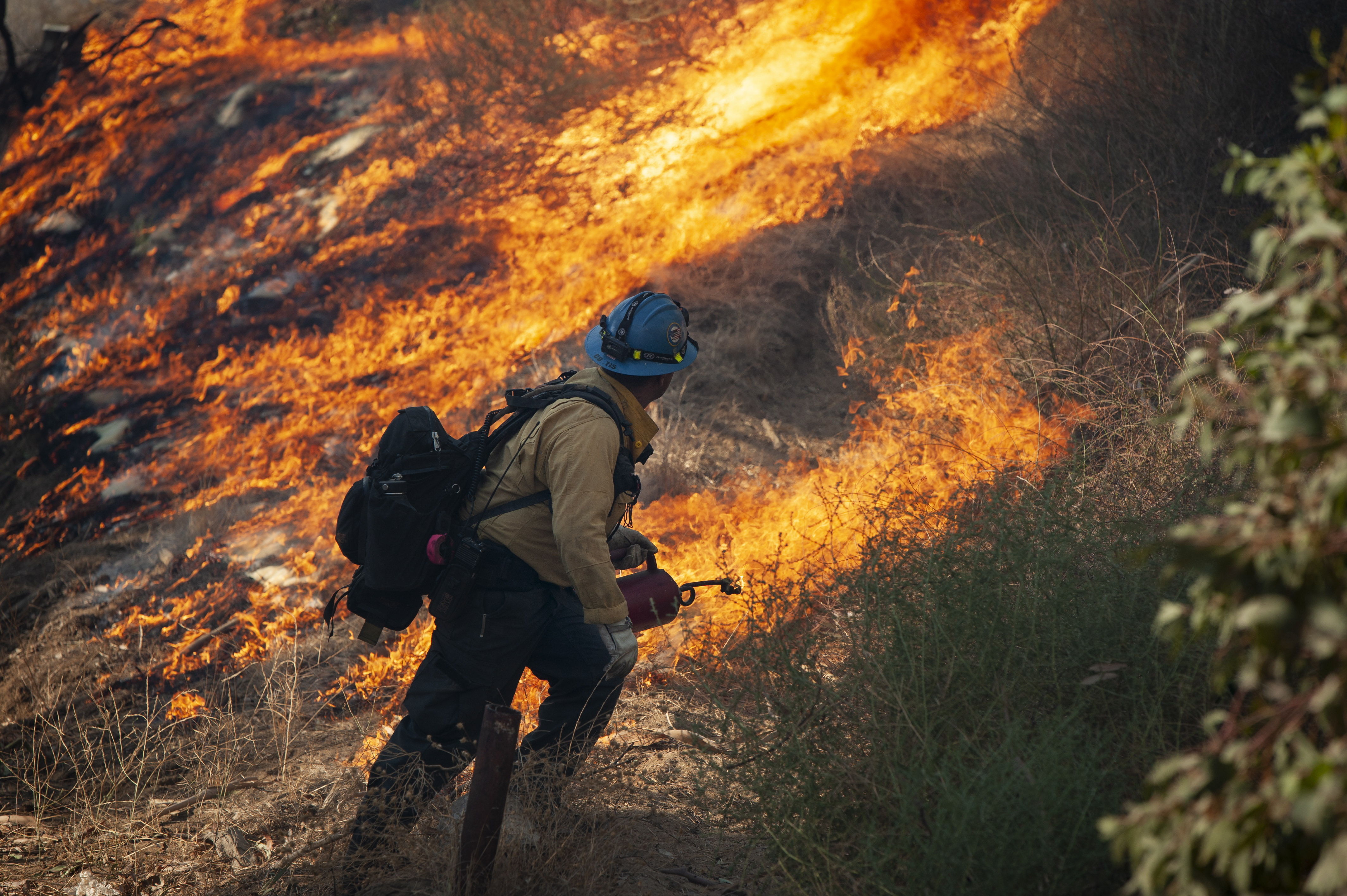 Un bombero forestal utiliza una antorcha de goteo para contrarrestar el incendio de Saddleridge en Sylmar, California, EE. UU. Fotografía Prensa Libre: EFE