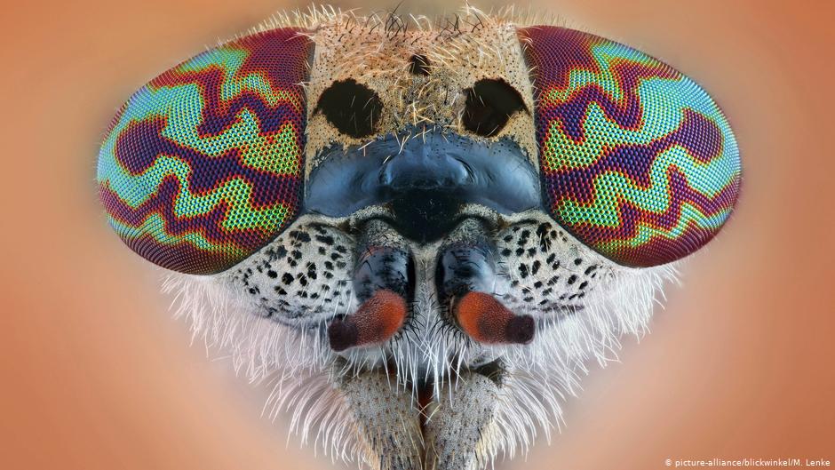 (Foto Prensa Libre: Alamy Stock Photo)