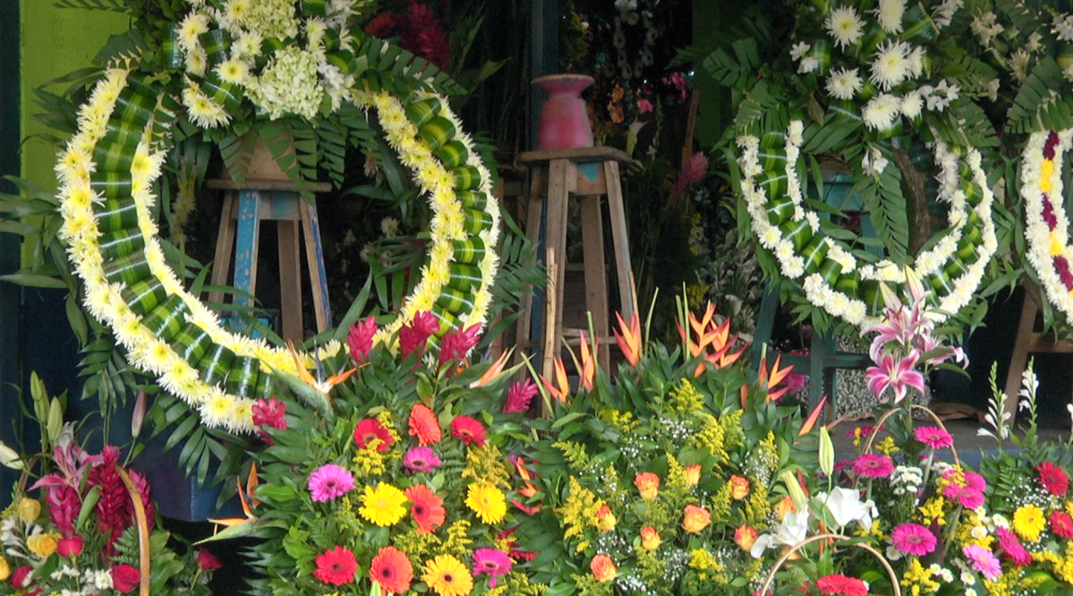 Precios de flores incrementan entre Q15 y Q20 días previos al Día de Todos los Santos