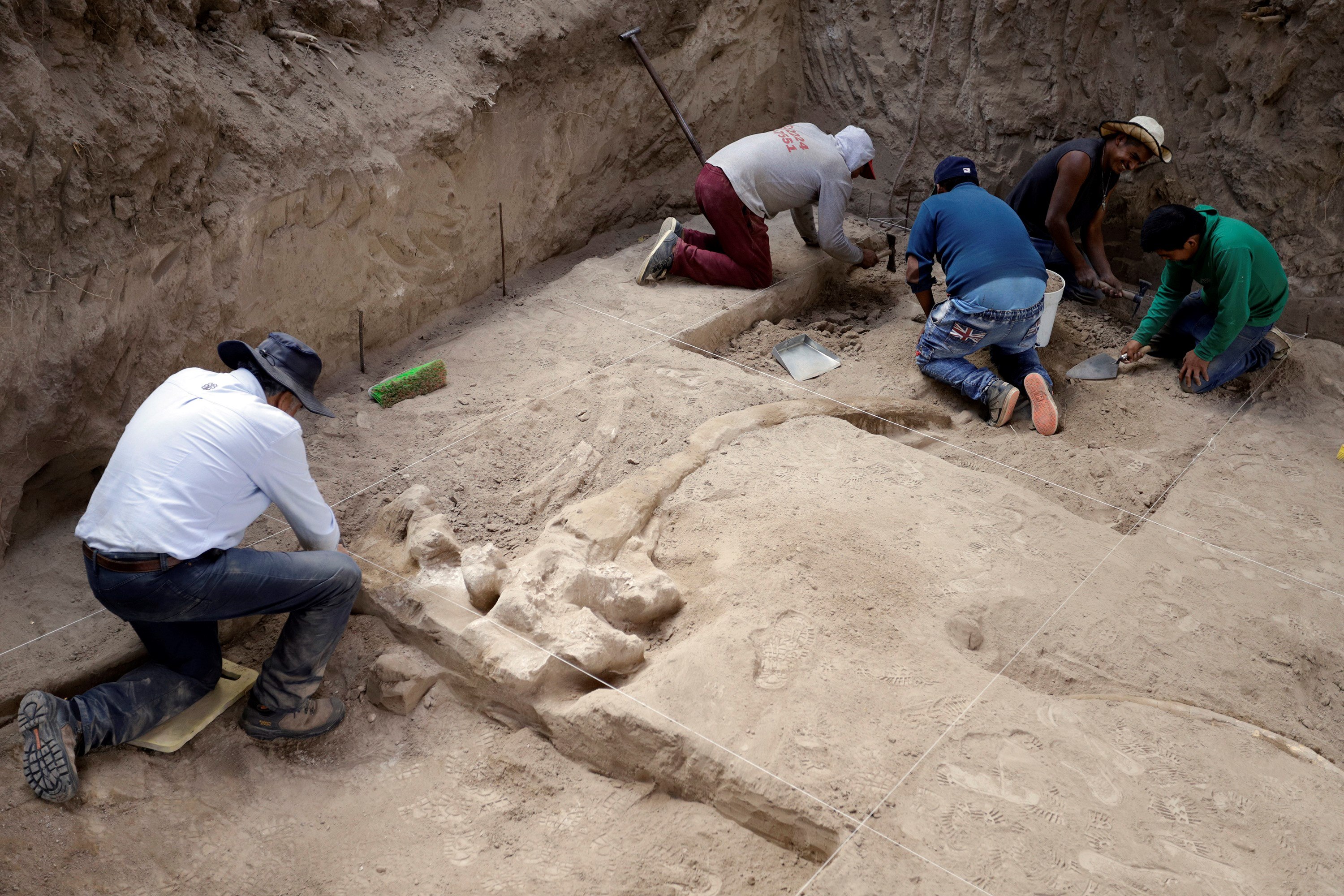 Expertos del Instituto Nacional de Antropología e Historia (INAH) trabajan en el hallazgo de restos fósiles este jueves, en la comunidad de San José Buenavista en el estado de Puebla (México).  (Foto Prensa Libre: EFE)