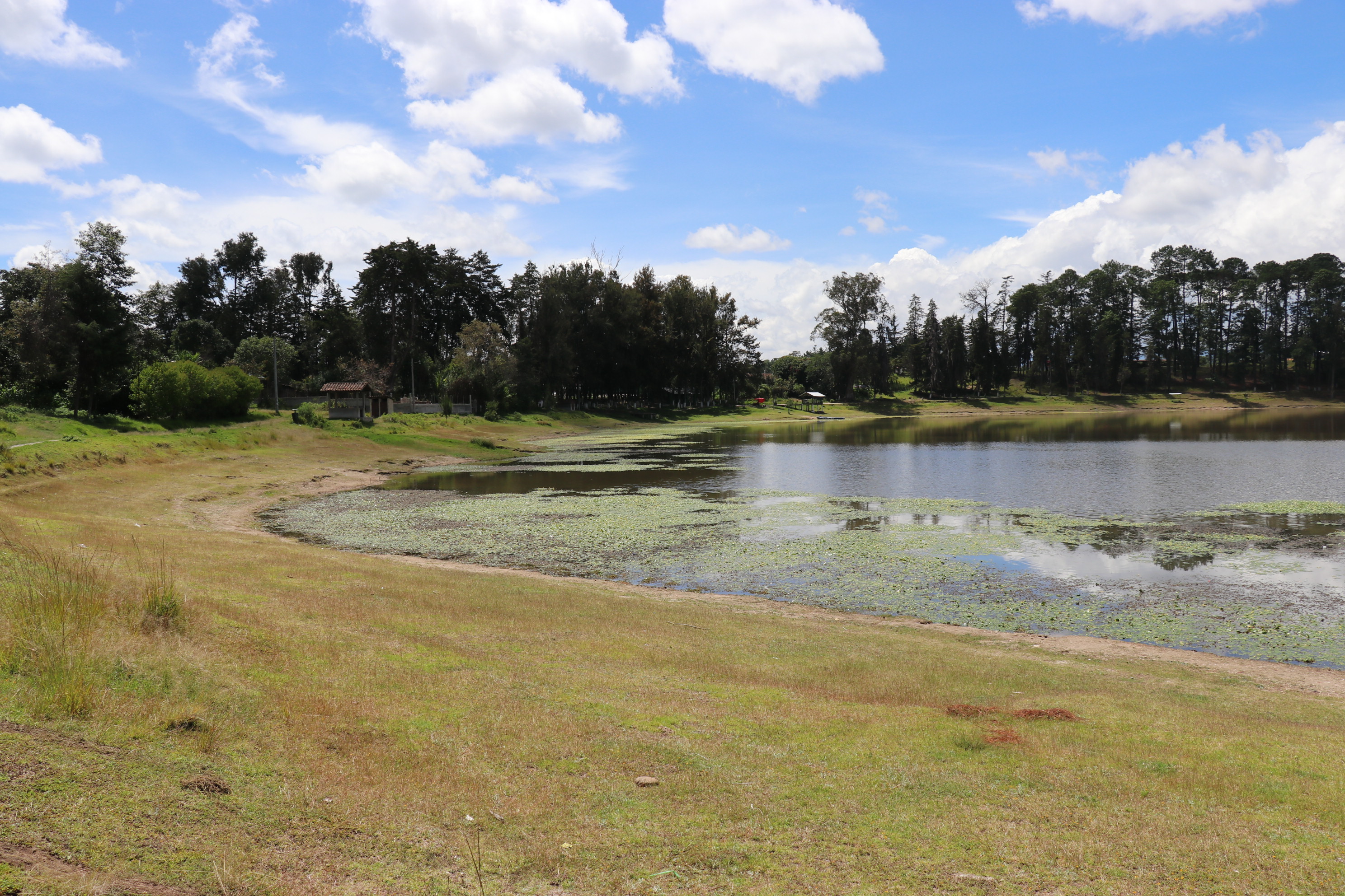 Más del 50 por ciento de la laguna de Lemoa se secó y la lluvia del actual invierno no logró elevar el nivel.  (Foto Prensa Libre: Héctor Cordero).